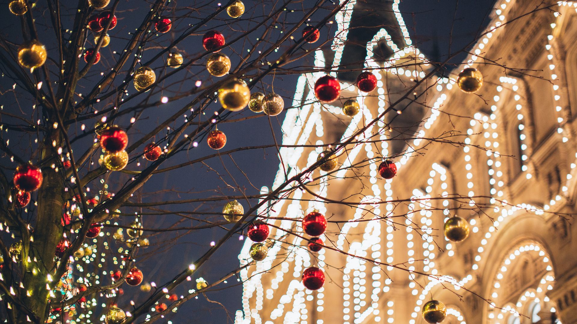 Christmas tree branches with red and gold ornaments against festive lights