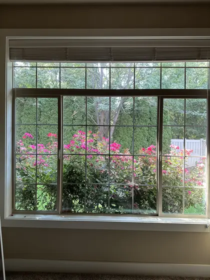Clean window overlooking a landscaped garden