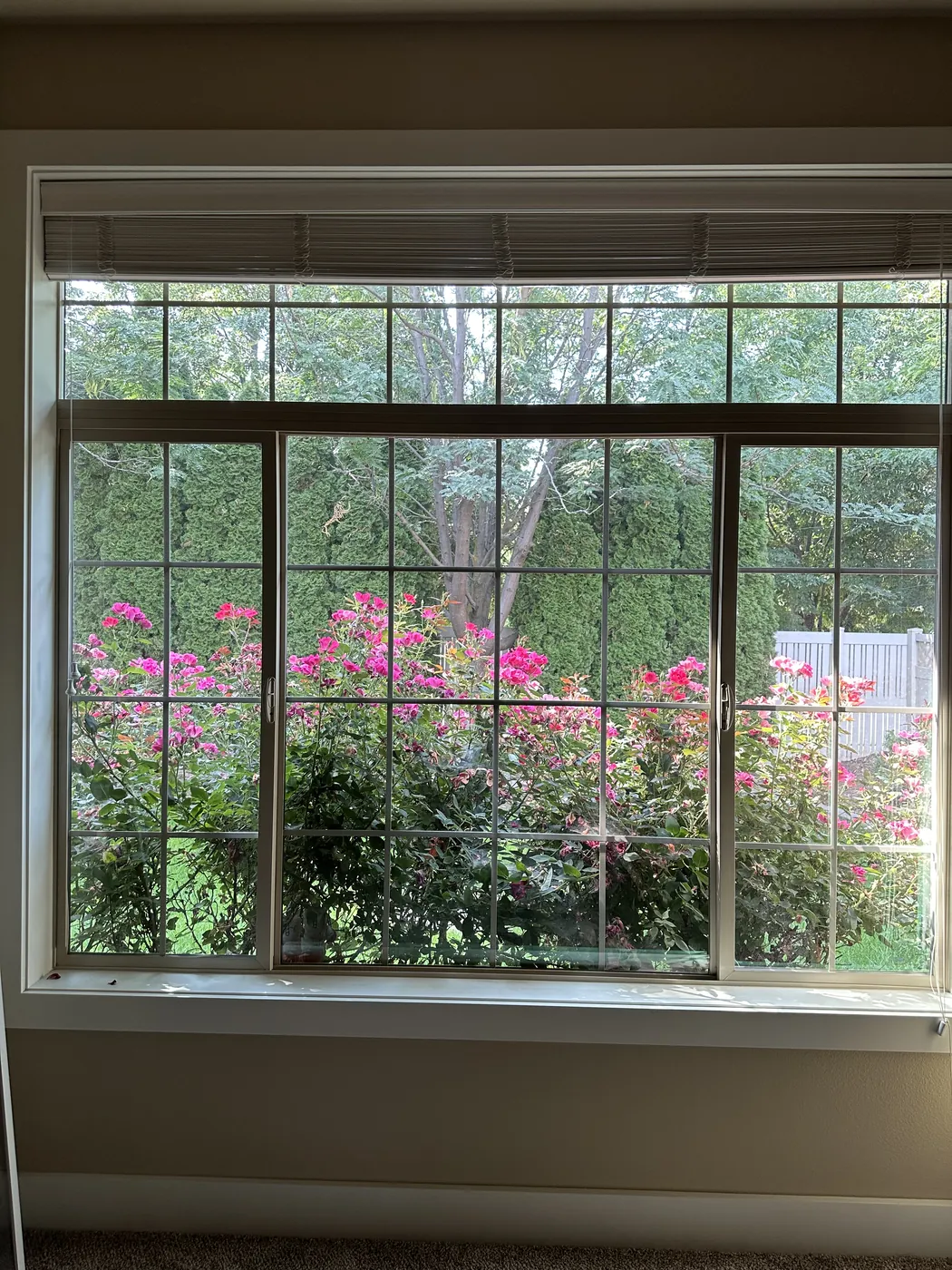 Bright interior with a spotless picture window overlooking a landscaped garden
